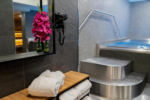 Crown Hotel St. Petersburg  (Краун Отель) (бывш. Crowne Plaza) - 5