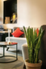 Rockit Hotel (Рокит) - 16