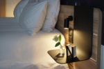 Novotel Санкт-Петербург Центр (Novotel Saint Petersburg Center) - 7