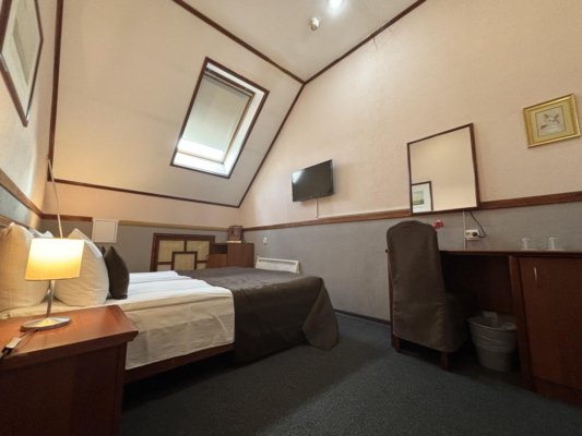 Номер эконом (мансарда)