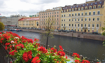 Домина Санкт-Петербург - 4