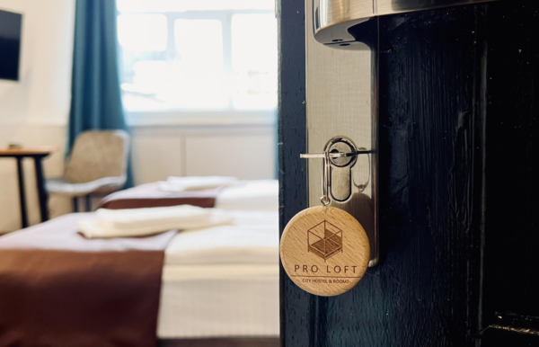 PRO LOFT city hostel & rooms (Пролофт)