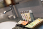 Renartiss Isaakiy St.Petersburg Hotel (Ренартисс Исаакий) бывш. Ренессанс Балтик - 17