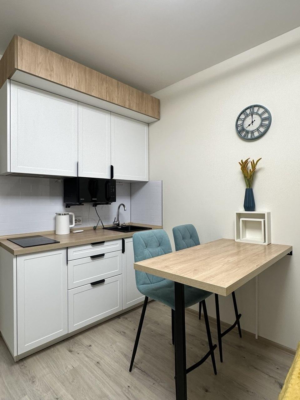 Апартаменты-студия, 24 м²